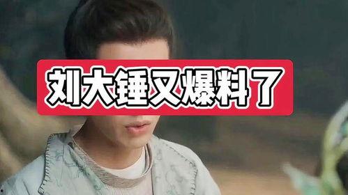 刘大锤爆料谢娜视频播放,娜姐真性情！